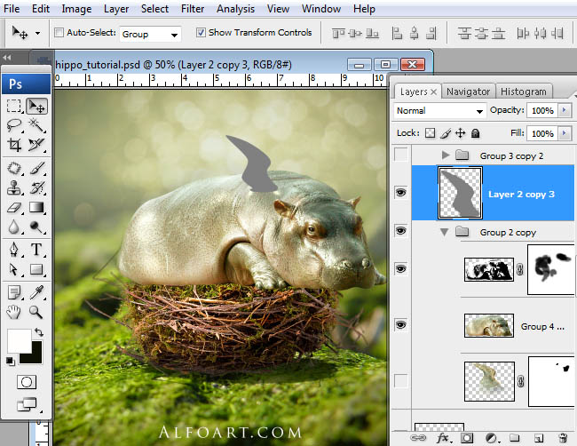 hippo, photoshop, nest, egg, shell, flying hippo, cute, baby, wings, hippopotamus, feathers